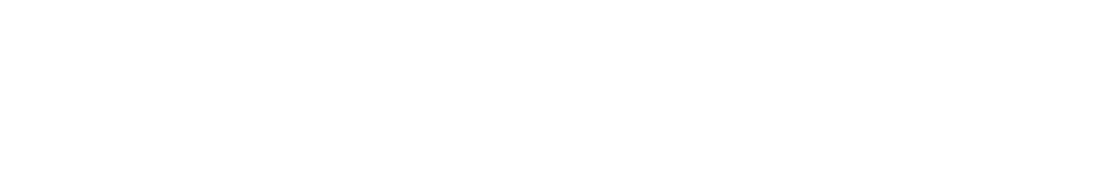Leisure Focus